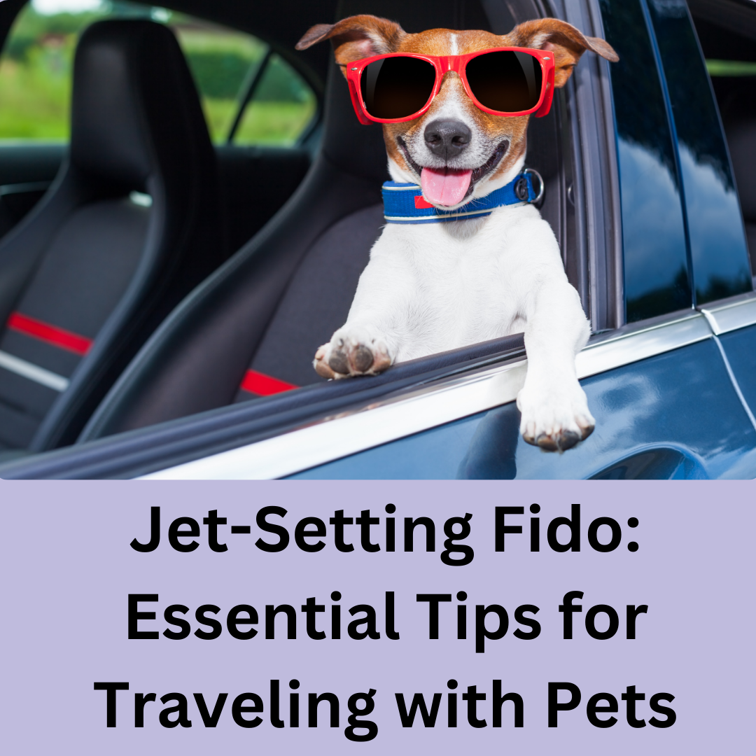 Jet-Setting Fido: Essential Tips for Traveling with Pets