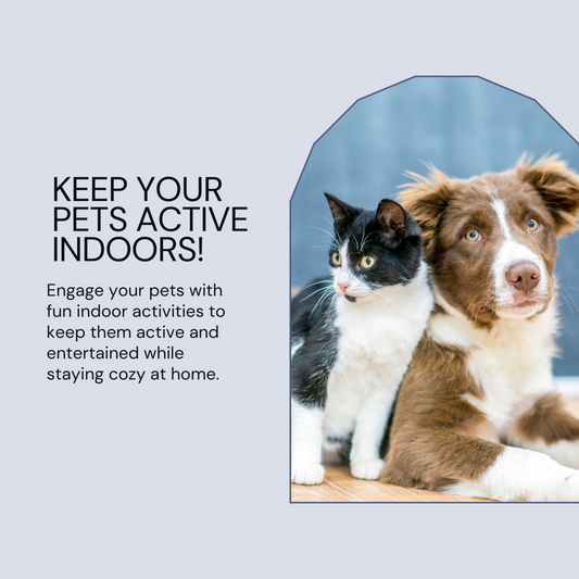 Keep Your Pets Active Indoors!